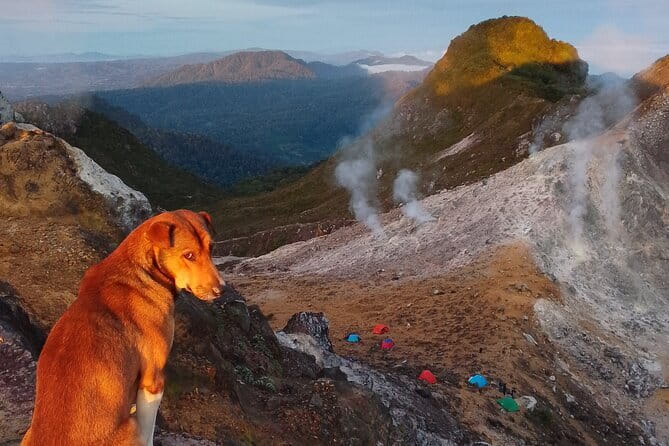 Mount Sibayak Sunrise Hike from Medan - Transport and timing: what the 13-hour day really means for you