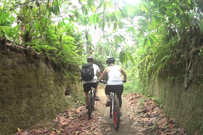 Mountain Biking and Waterfall Tour from Lombok - Key points to know before you ride