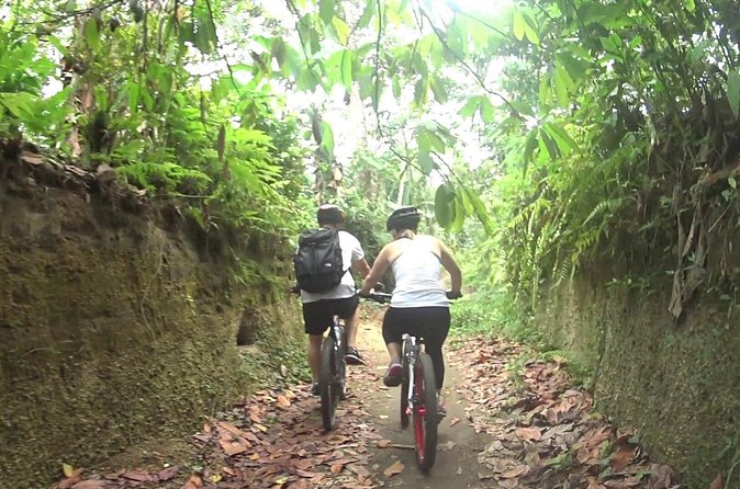 Mountain Biking and Waterfall Tour from Lombok - Price and value: what $76.93 buys you on a private day