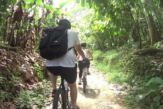 Mountain Biking and Waterfall Tour from Lombok - Fitness reality check: climbs, descents, and who this tour suits