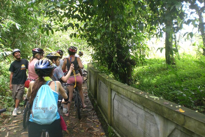 Mountain Cycling Tour - Lunch at the end: included, and you can go vegetarian