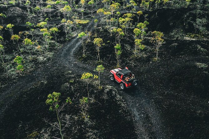 Mt Batur Sunset 4WD Jeep Tour - Coffee Plantation Stop: Worth It, or a Detour You Skip?