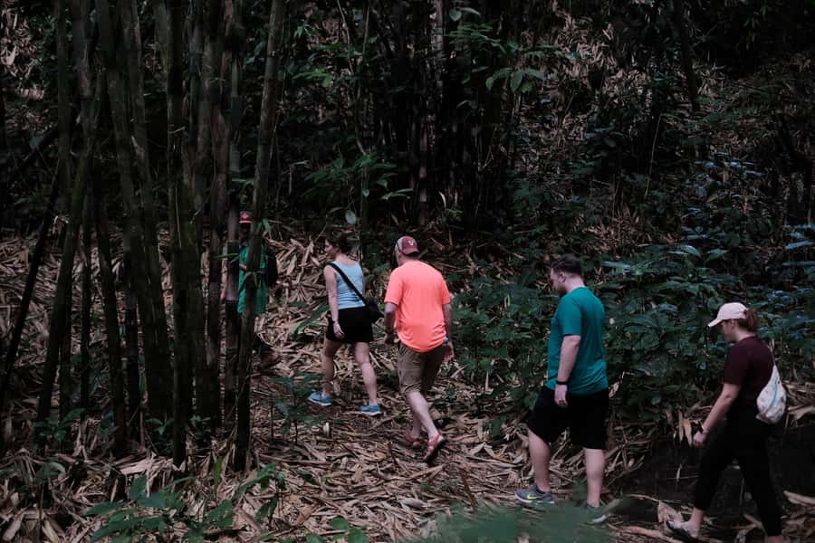 Mt. Merapi Majesty: Soft Trek and Botanic Village Tour - A quick reality-check on timing and the 6-hour flow