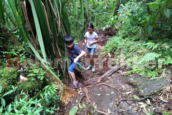 Mt Rinjani Trekking 2 Days 1 Night (Senaru Crater Rim) - Fast-Route Rinjani: The Real Deal About Effort vs. Reward
