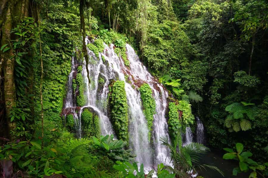 Munduk: Banyu Wana and Sekumpul Waterfall Trekking Tour - Key highlights worth getting excited about