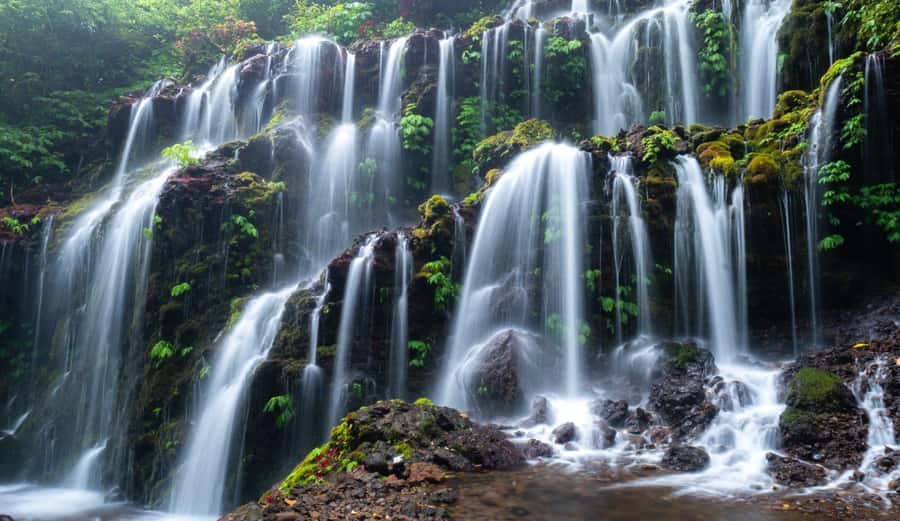 Munduk: Banyu Wana and Sekumpul Waterfall Trekking Tour - Private van + early pickup: how the day stays comfortable