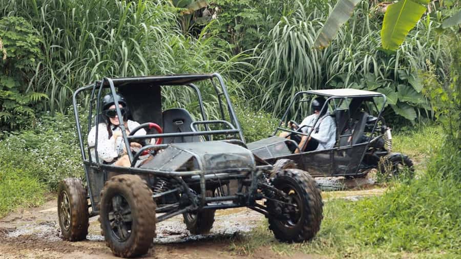 Munduk: Buggy Adventures with Picnic Lunch - Why this Munduk buggy tour is a smart 5-hour pick