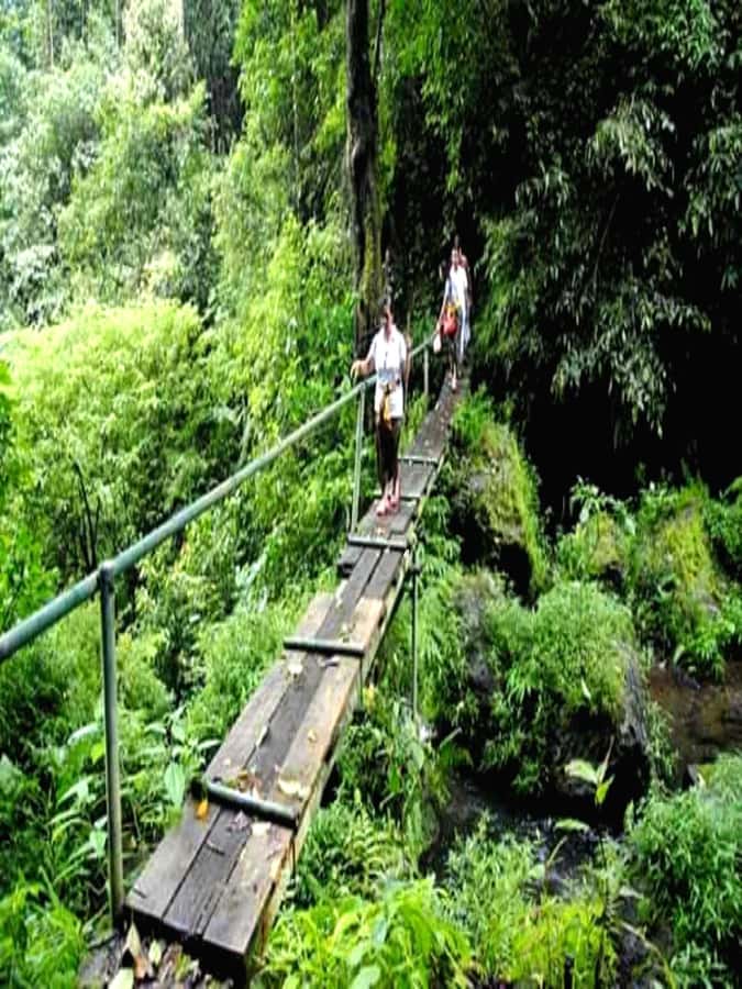 Munduk Jungle Trek to Banyumala & Pucak Manik – Private - Pickup, Timing, and How to Set Expectations for the Day