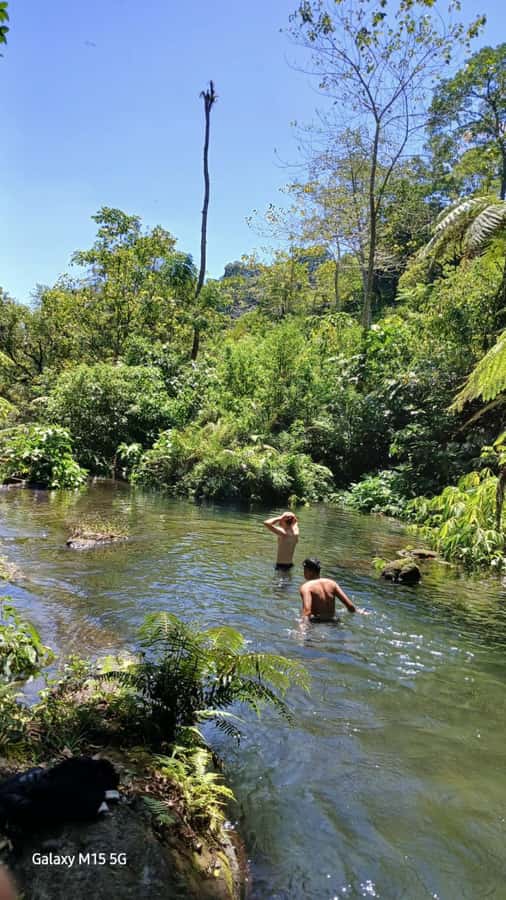 Munduk Jungle Trek to Banyumala & Pucak Manik – Private - Banyumala Twin Waterfalls: Where the Swim Makes the Trek Worth It