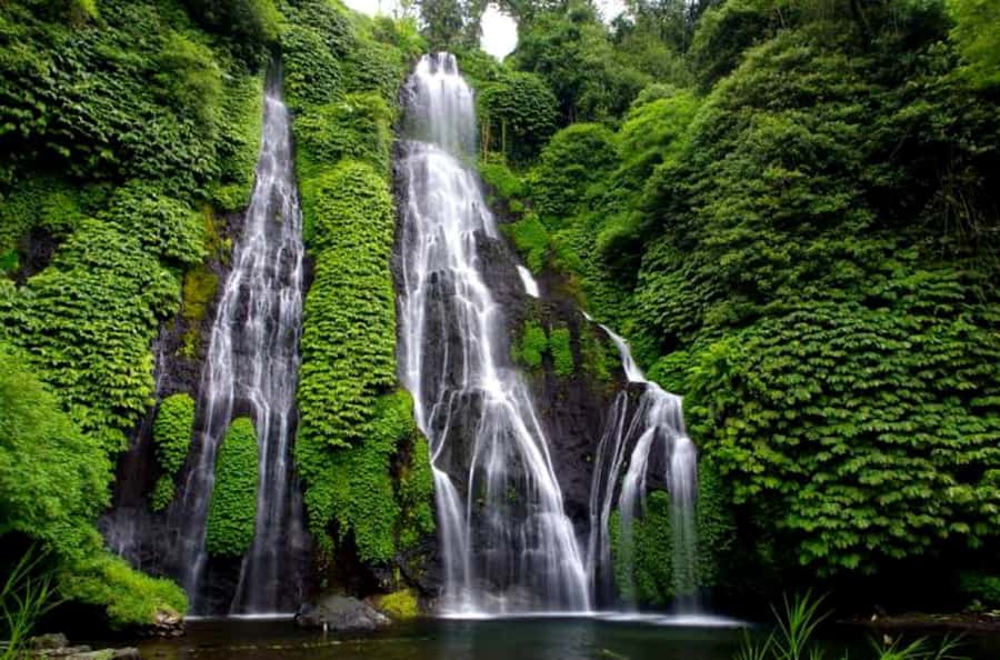 Munduk Jungle Trek to Banyumala & Pucak Manik – Private - The De Koffie-Wanagiri Lunch Break (and the Coffee Timing)
