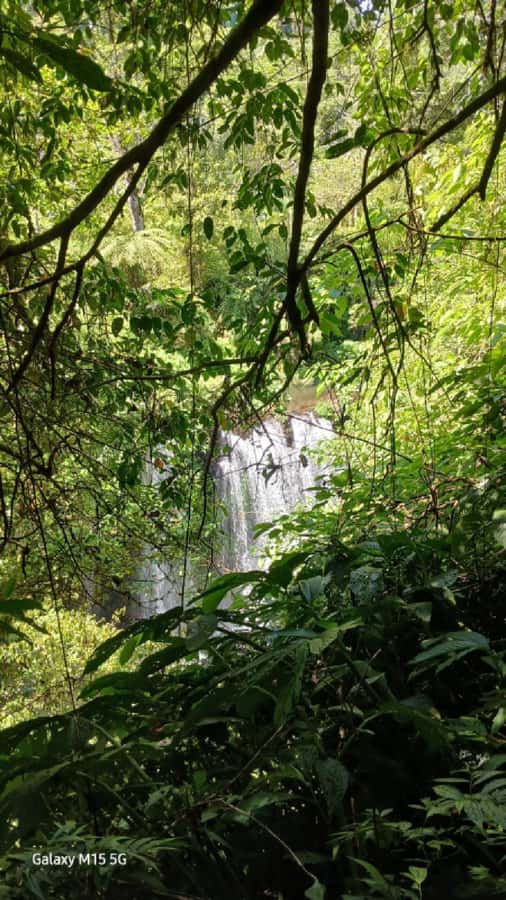 Munduk Jungle Trek to Banyumala & Pucak Manik – Private - What to Bring (So the Jungle Doesn’t Beat You)