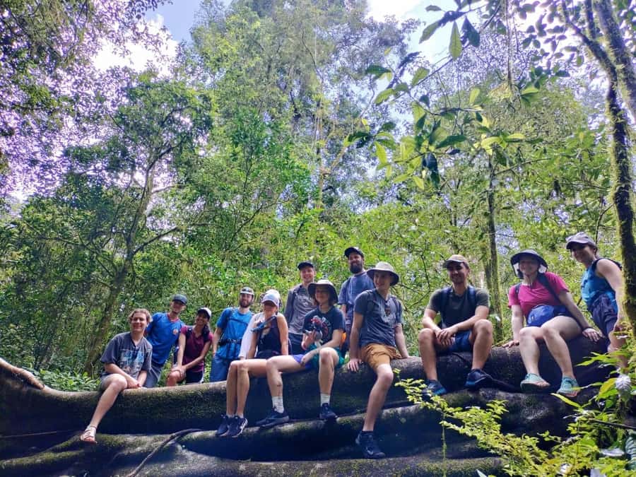 Munduk : Jungle Trekking,Canoeing,waterfall &authentic lunch - Canoeing Lake Buyan and Lake Tamblingan: The Quiet Middle of the Day