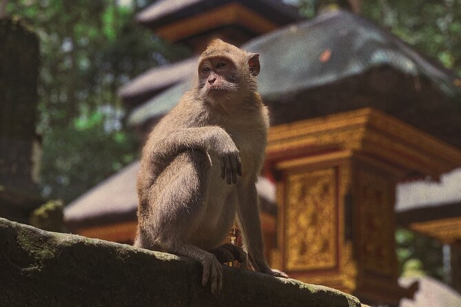 Munduk: Tamblingan jungle trek, waterfall, Ulun Danu temple - How the day starts from Ubud (and why it matters)