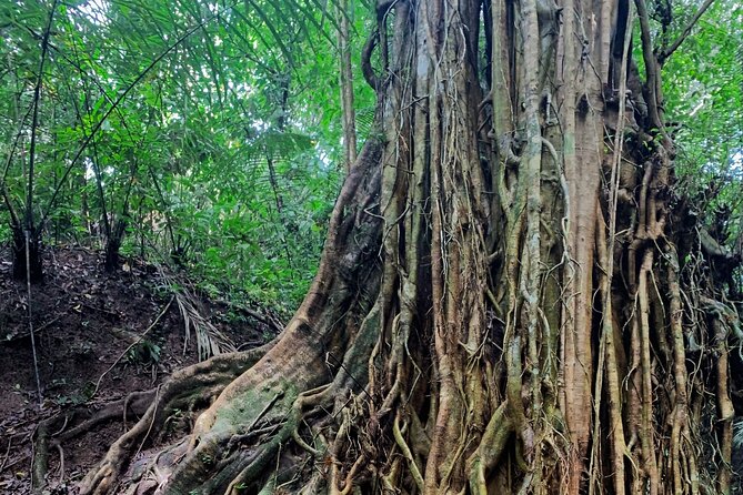 Munduk: Tamblingan jungle trek, waterfall, Ulun Danu temple - Lunch after the jungle: local food and a full reset