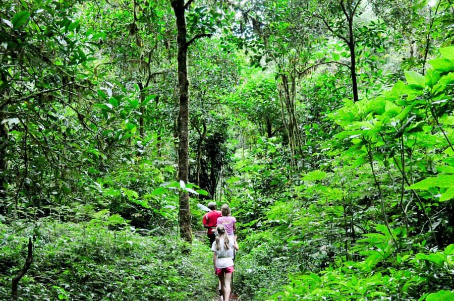 Munduk: Twin Lakes Jungle Hike with Lake Canoe and Waterfall - Pickup and the Drive to Lake Tamblingan Plateau