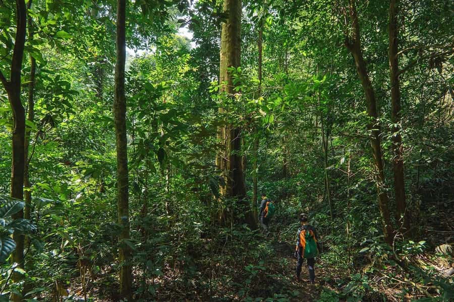 Munduk: Twin Lakes Jungle Hike with Lake Canoe and Waterfall - Canoeing on the Twin Lakes: This Is the Breather Part