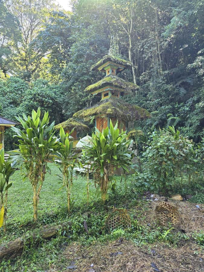 Munduk: Twin Lakes Jungle Hike with Lake Canoe and Waterfall - Lunch at a Family Warung: North Bali Flavors After the Swim