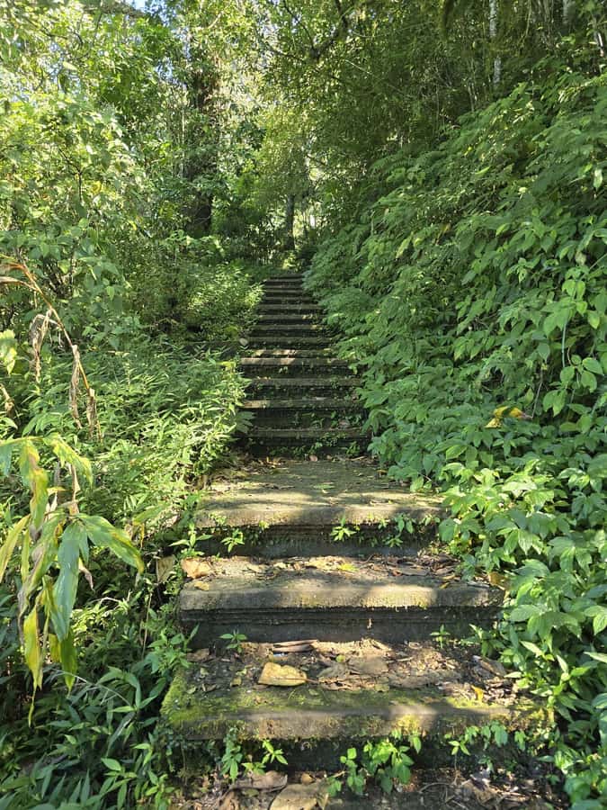 Munduk: Twin Lakes Jungle Hike with Lake Canoe and Waterfall - Who Should Book This (and Who Should Skip It)