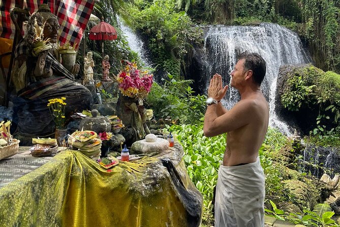 natural holy waterfalls healing tour. - Tegalalang Rice Terrace lunch: Balinese food plus a scenic breather