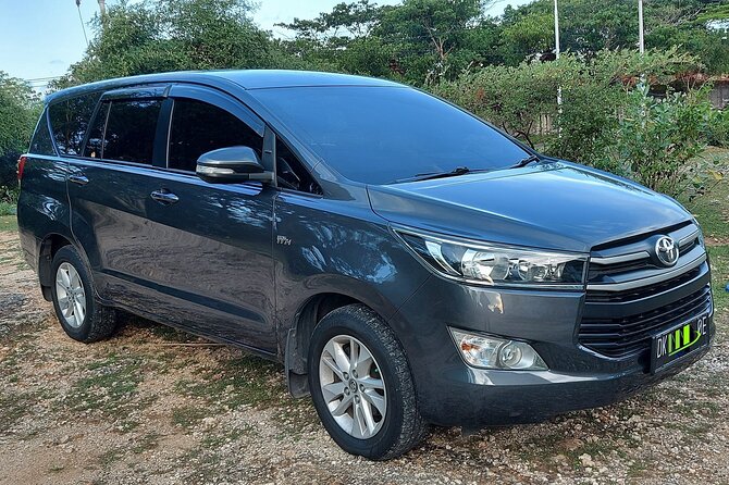 Ngurah Rai International Airport Private Arrival Transfer - Ngurah Rai Arrival to Your Hotel in One Easy Move