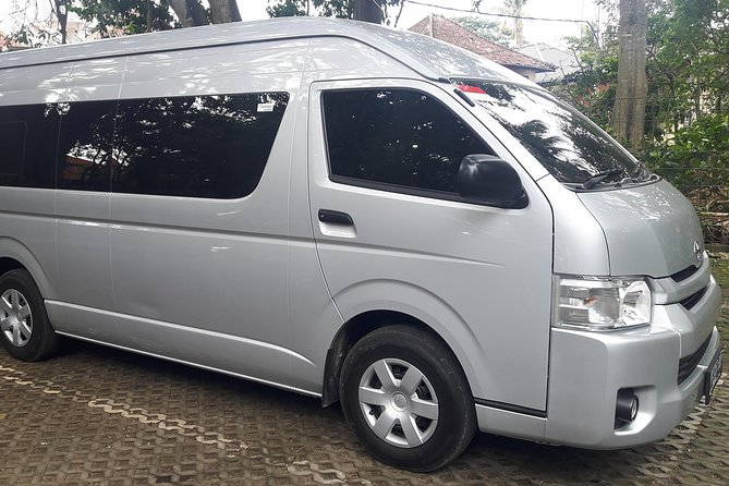 Ngurah Rai International Airport Private Arrival Transfer - What You Must Provide to Avoid Pickup Problems