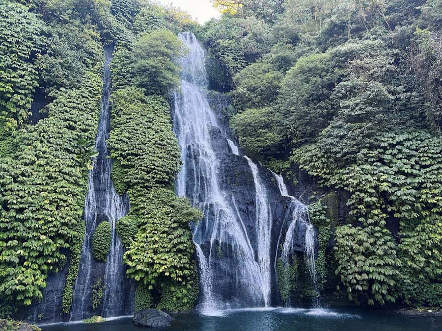 North Bali: Dolphin, Ulun Danu Temple, & Banyumala Waterfall - How the schedule really works on North Bali roads
