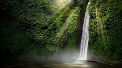North Bali: Explore Munduk Waterfall Trekking Experience - The walking rhythm: timing, breaks, and how hard it really is