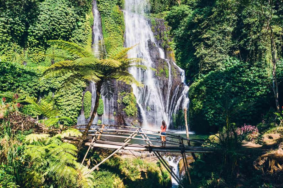 North Bali: Full-day Highlights Instagram Tour - Banyumala Waterfall: the best payoff comes with the steep trek