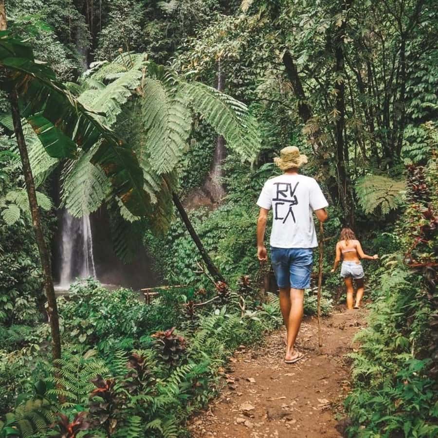 North Bali: Monkey Forest -Waterfall- Rice Terrace-Ulun Danu - Key highlights at a glance
