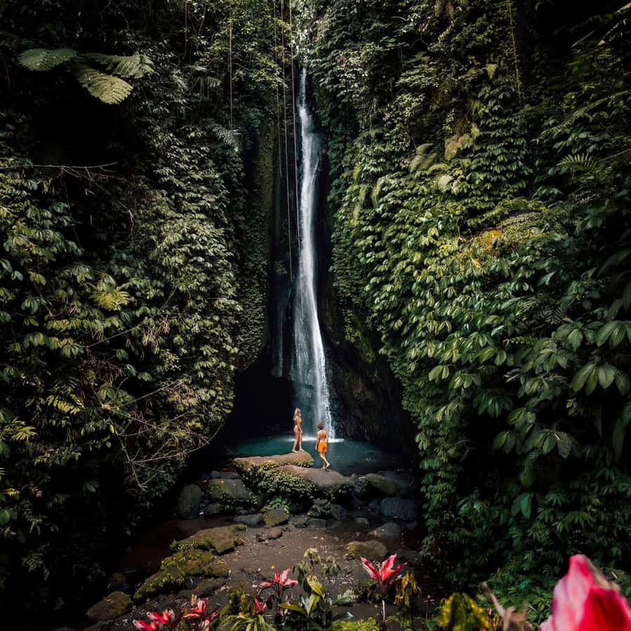 North Bali: Monkey Forest -Waterfall- Rice Terrace-Ulun Danu - A smooth North Bali loop with hotel pickup and time for 4 big stops