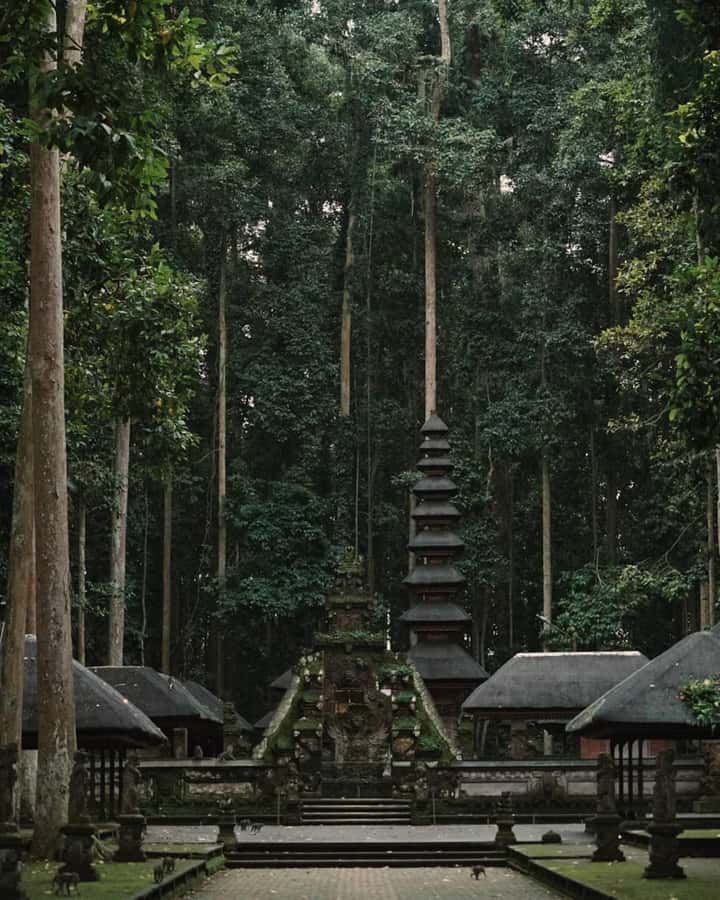 North Bali: Monkey Forest -Waterfall- Rice Terrace-Ulun Danu - Ulun Danu Beratan Temple: iconic architecture with famous lake-and-mountain views