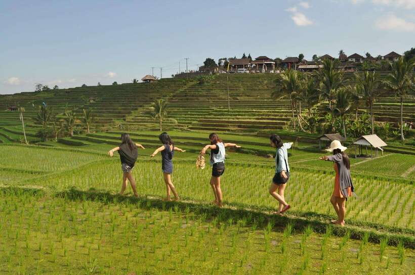 North Bali: Private Day Tour with Banyumala Waterfall - Banyumala Waterfall: Your Cooling-Off Hour in North Bali