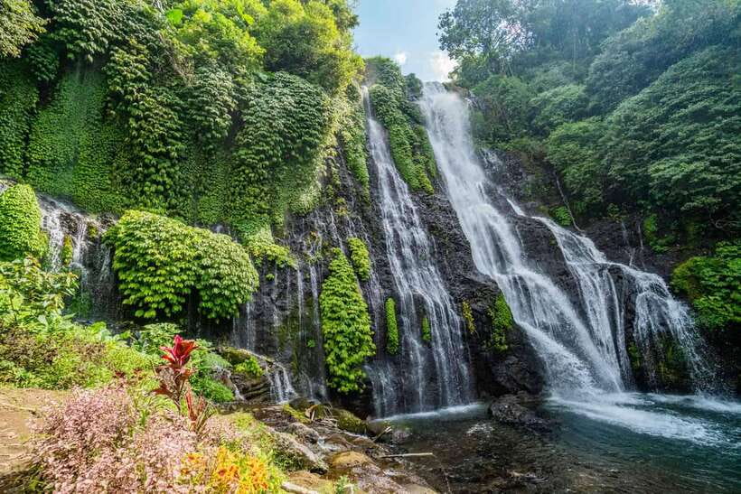 North Bali: Private Day Tour with Banyumala Waterfall - Jatiluwih Rice Terrace UNESCO Walk: The Day’s Big Payoff