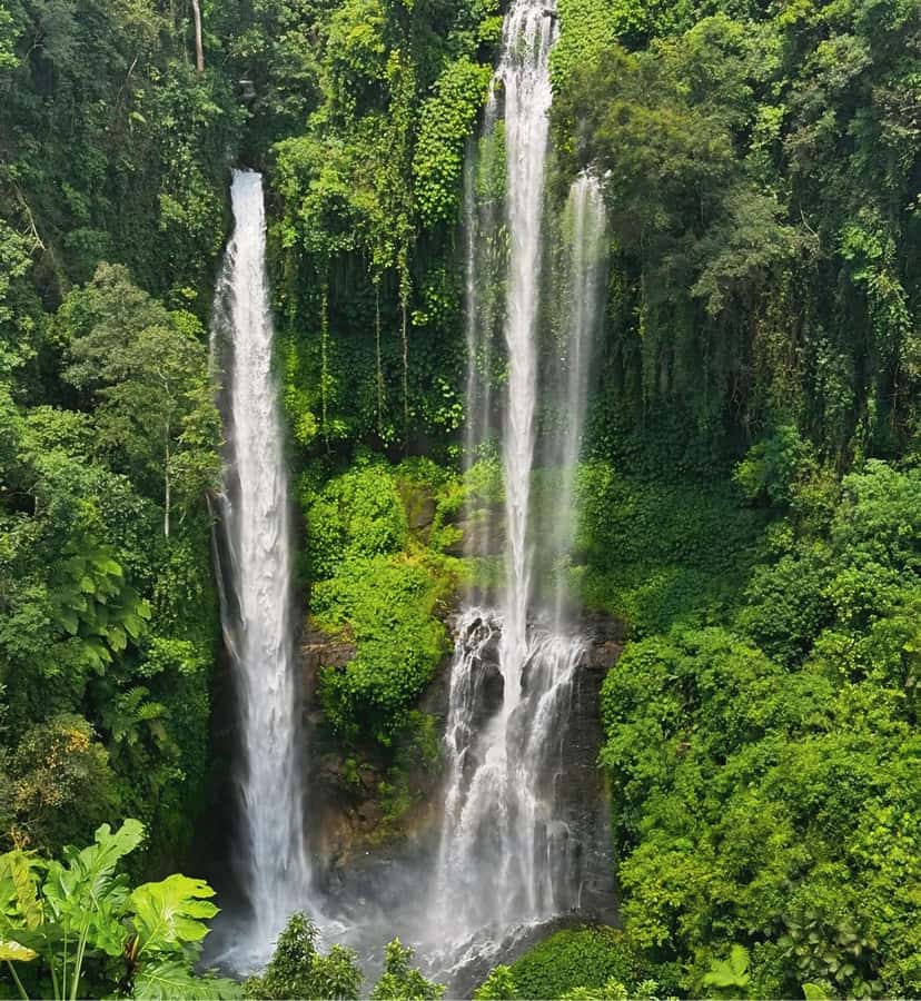 North Bali: Sekumpul and Banyumala Waterfalls & Rice Terrace - Sekumpul Waterfall: why this one turns into the main character