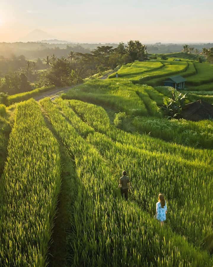 North Bali: Sekumpul and Banyumala Waterfalls & Rice Terrace - Jatiluwih rice terraces: the UNESCO stop that earns its time