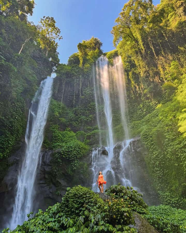 North Bali: Sekumpul and Banyumala Waterfalls & Rice Terrace - Price and value: the fine print you should actually care about