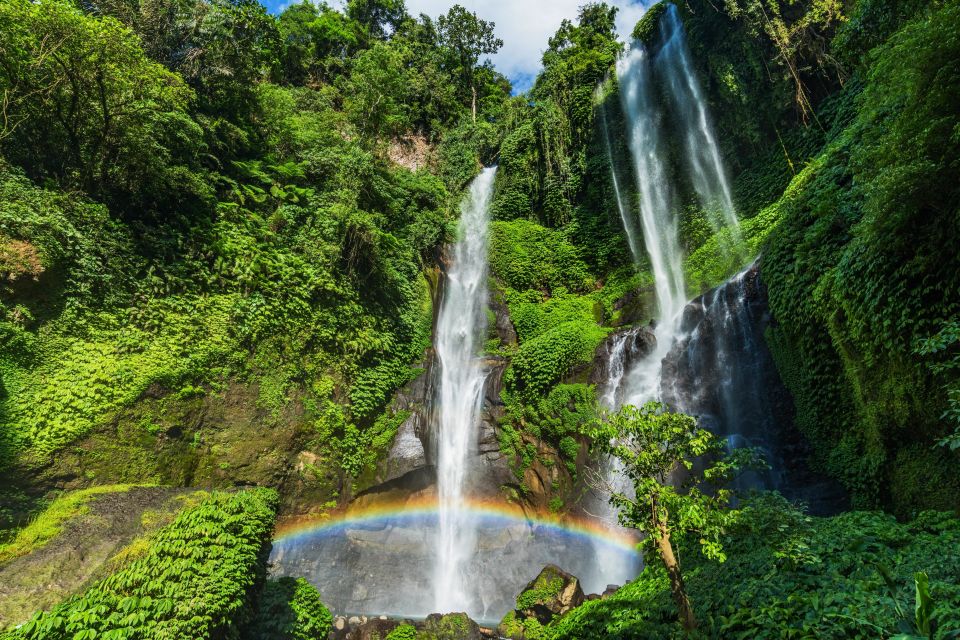 North Bali: Sekumpul Waterfalls and Ulun Danu Temple Tour - Who this tour fits best (and who should skip it)