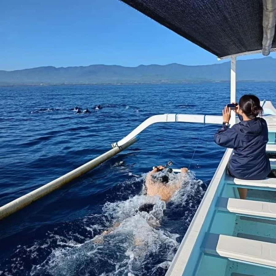 North Bali : Sunrise Dolphin Trip at Lovina Beach - Lovina sunrise dolphins: why the timing feels worth it