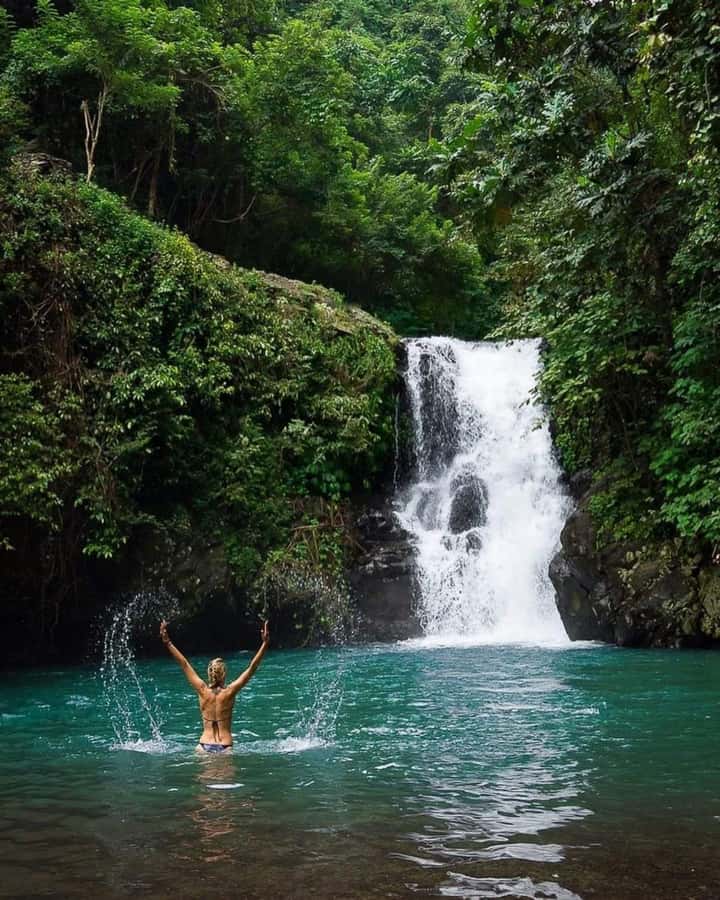 North Bali : Sunrise Dolphin Trip at Lovina Beach - Snorkeling option and blue coral: what to expect (and what not to)