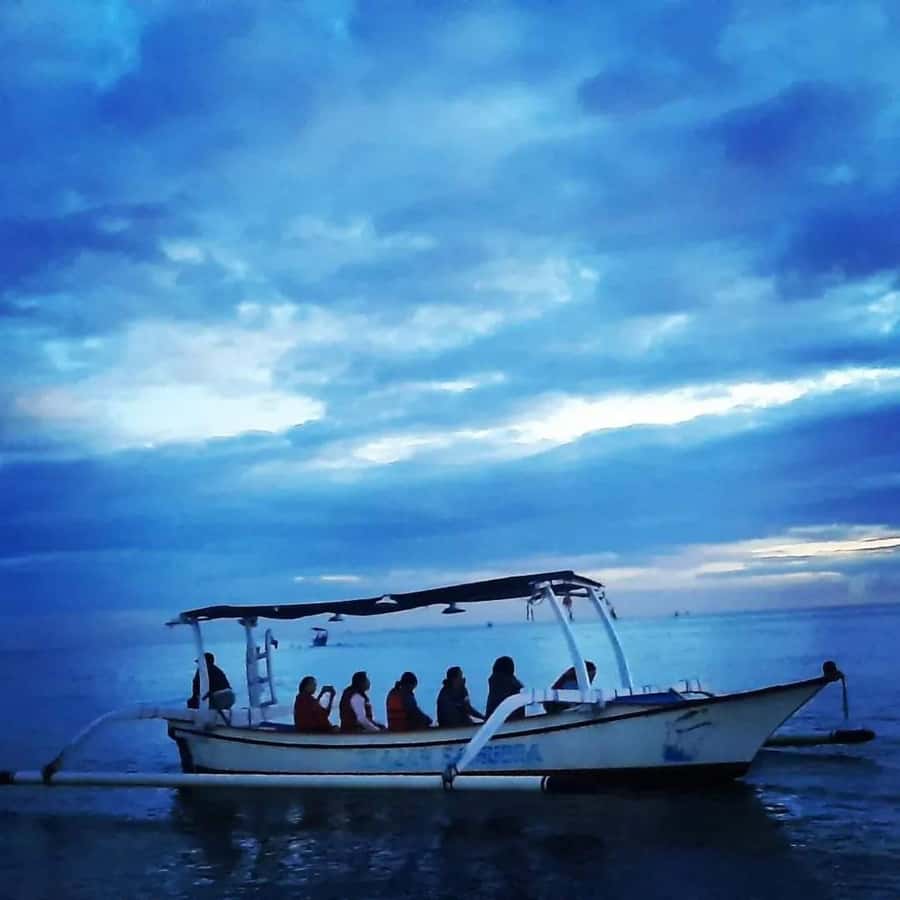 North Bali : Sunrise Dolphin Trip at Lovina Beach - Dolphin watching at sea: close views, but keep an eye on crowding