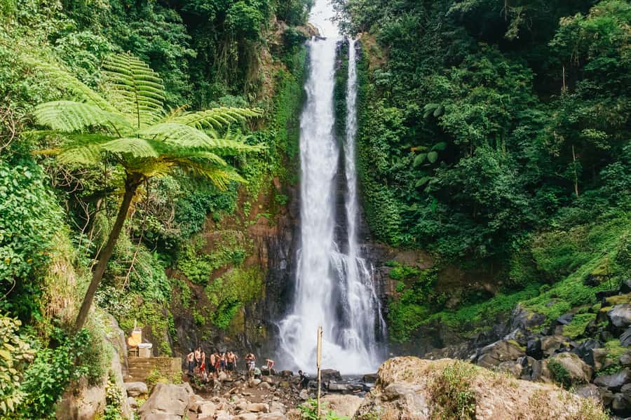 North Bali: Sunrise Tour with Dolphins, Waterfalls & Temples - Key highlights you’ll care about