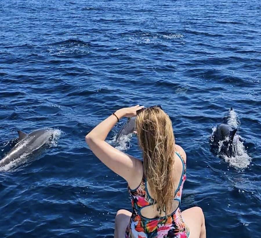 North Bali: Sunrise Tour with Dolphins, Waterfalls & Temples - A Lovina sunrise boat ride that actually feels like Bali