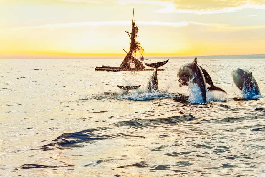 North Bali: Sunrise Tour with Dolphins, Waterfalls & Temples - Price and value: $55 for a bundled North Bali day