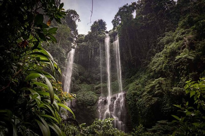 North Bali Tour: Banyumala Waterfall & Wanagiri Hidden Hills - Key things to know before you go