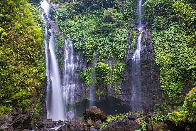 North Bali Tour: Banyumala Waterfall & Wanagiri Hidden Hills - A North Bali private route that actually feels like a day