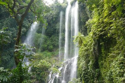 North Bali Tour: Banyumala Waterfall & Wanagiri Hidden Hills - Stop 1: Banyumala Twin Waterfalls and the trek payoff