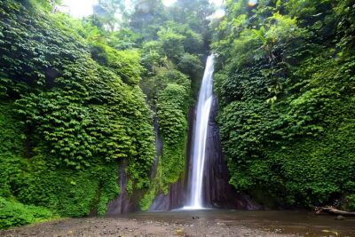 North Bali Tour - Visiting Rice Terrace, Lake, Waterfall, Temple and Hot Spring - Value check: what you’re paying for at $80 per person