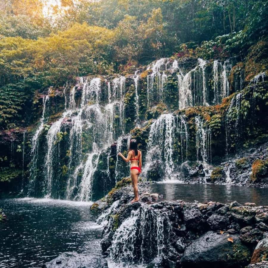 North Bali Trip with 2 Hidden Waterfalls Private Tour - Private pickup that actually covers a lot of Bali