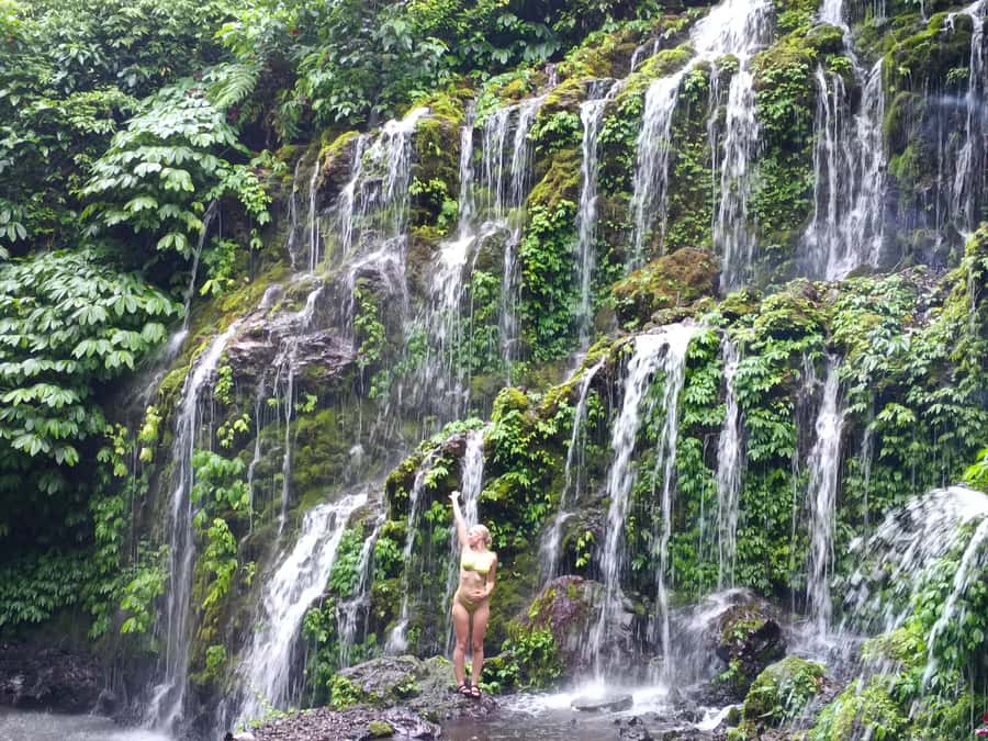 North Bali Trip with 2 Hidden Waterfalls Private Tour - Price and value: what you’re really paying for at $41