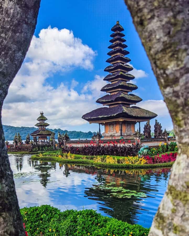 North Bali: Ulun Danu, Waterfalls, Swing and Monkey Forest - Packing for a Day of Steps, Mist, and Photos